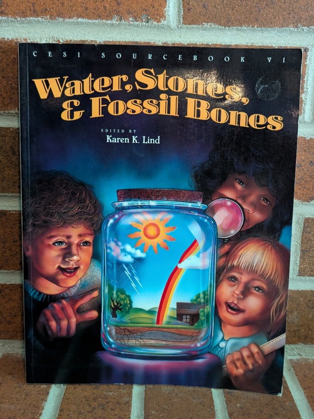 Water, Stones & Fossil Bones Science Activities Book Karen K. Lind STEM Homescho